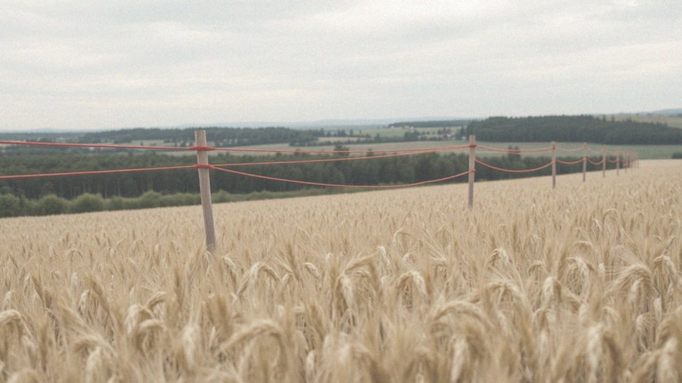 Jakie są opinie użytkowników na temat skuteczności sznurów hukowych?