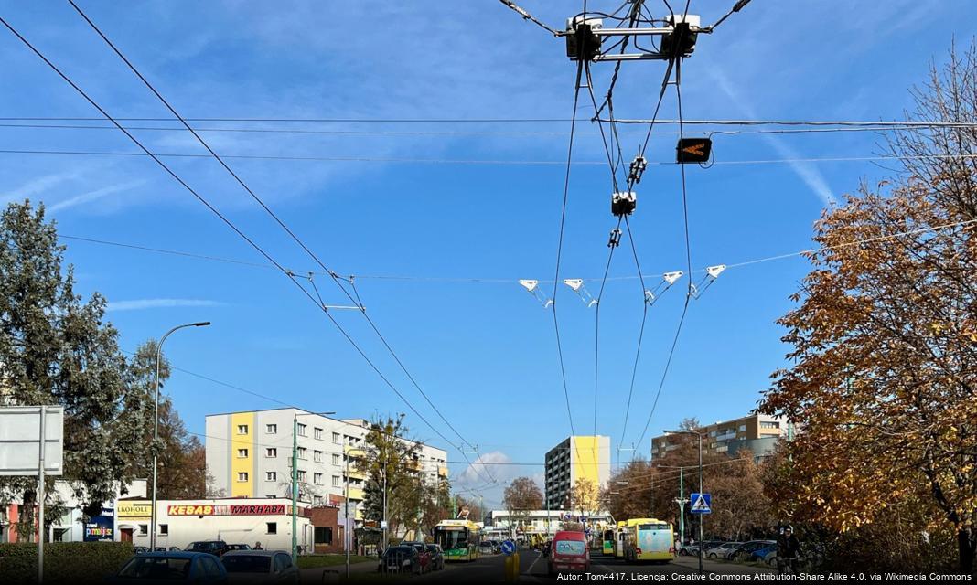 Konkurs Tyski Społecznik Roku 2024 – Nabór Zgłoszeń Ruszył