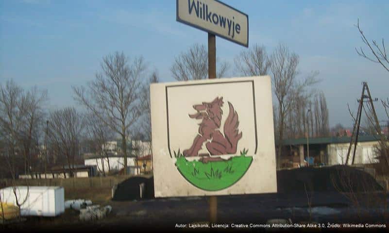 Wilkowyje